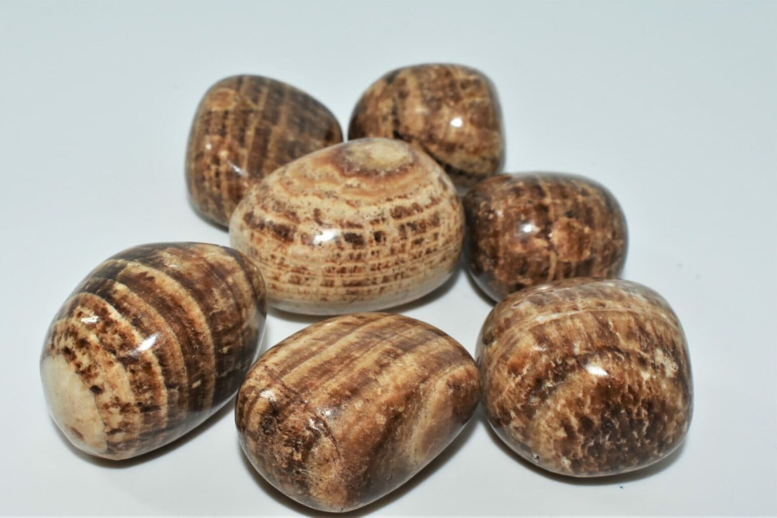 Pierres des Hauts de France, pierres naturelles polies aux motifs variés, parfaites pour décoration et aménagement intérieur.